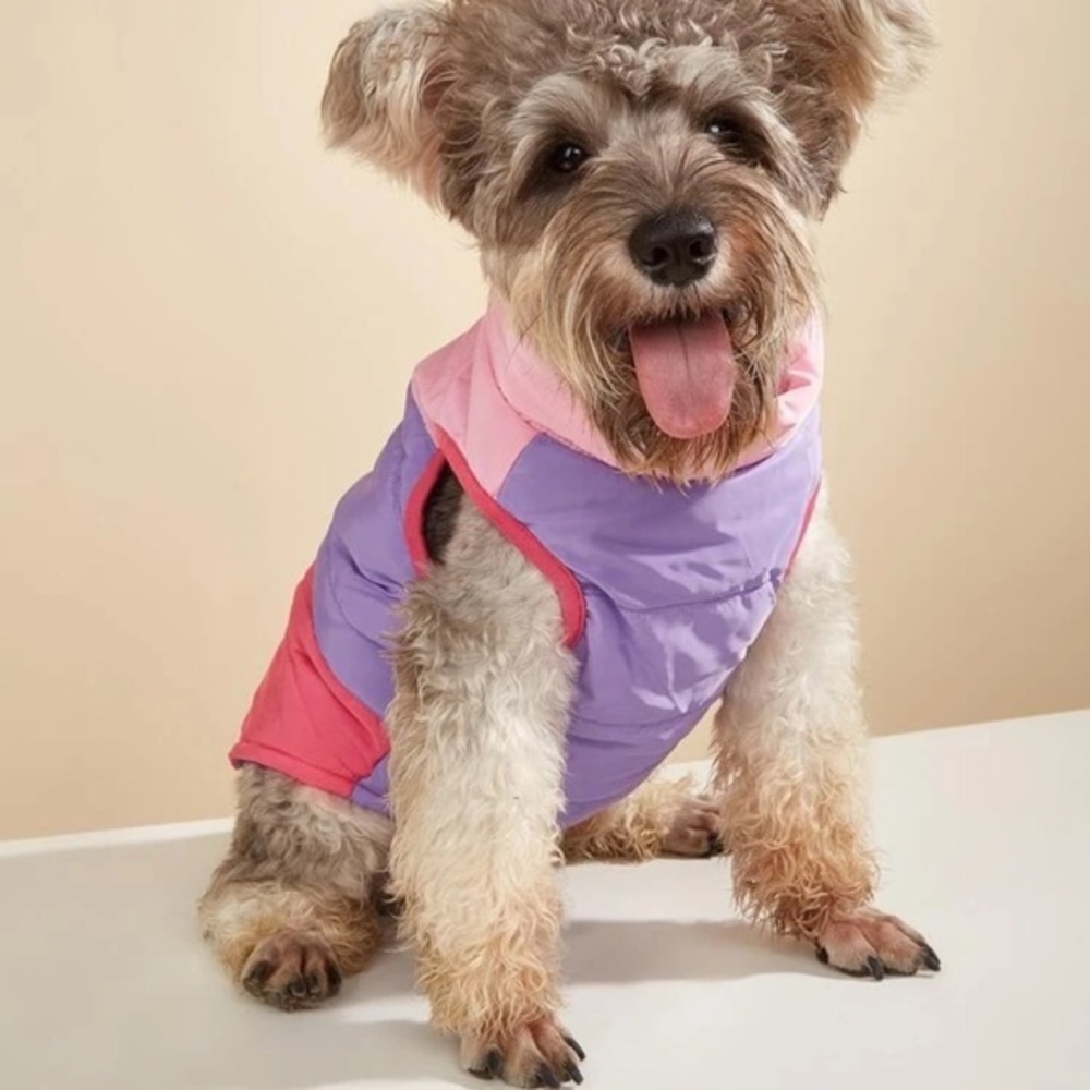 Color Block Pet Jacket - Picture 7 of 7